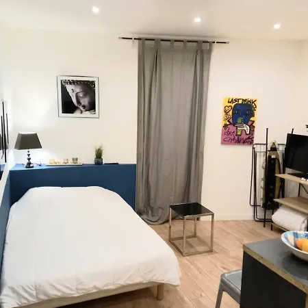 Apartment Ravissant Studio En Face De La Gare Toulouse